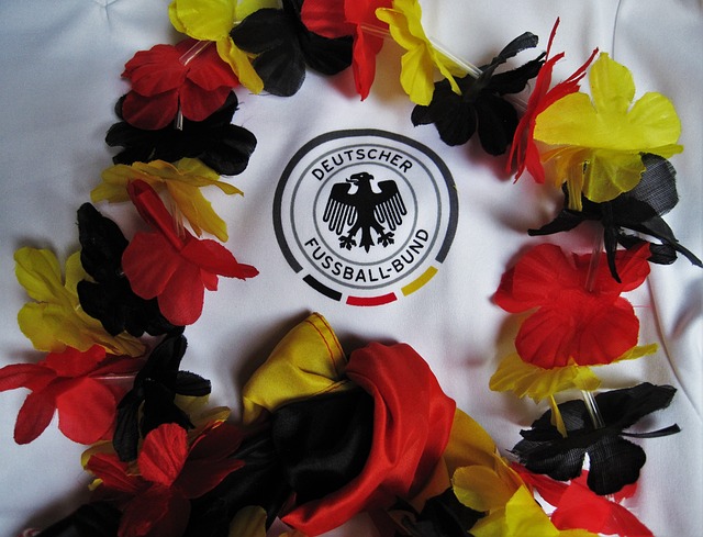 导向